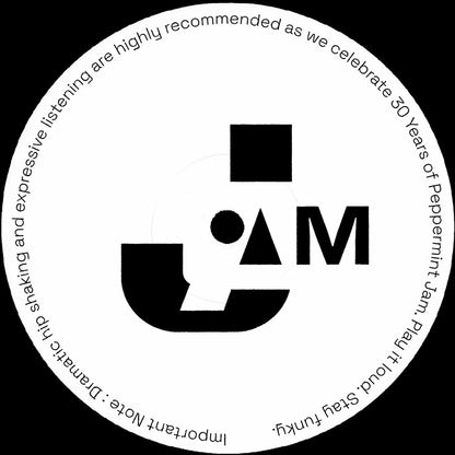 T-Ski Valley - Catch The Beat