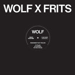Load image into Gallery viewer, Frits Wentink - Remember that Feeling - WOLF MUSIC
