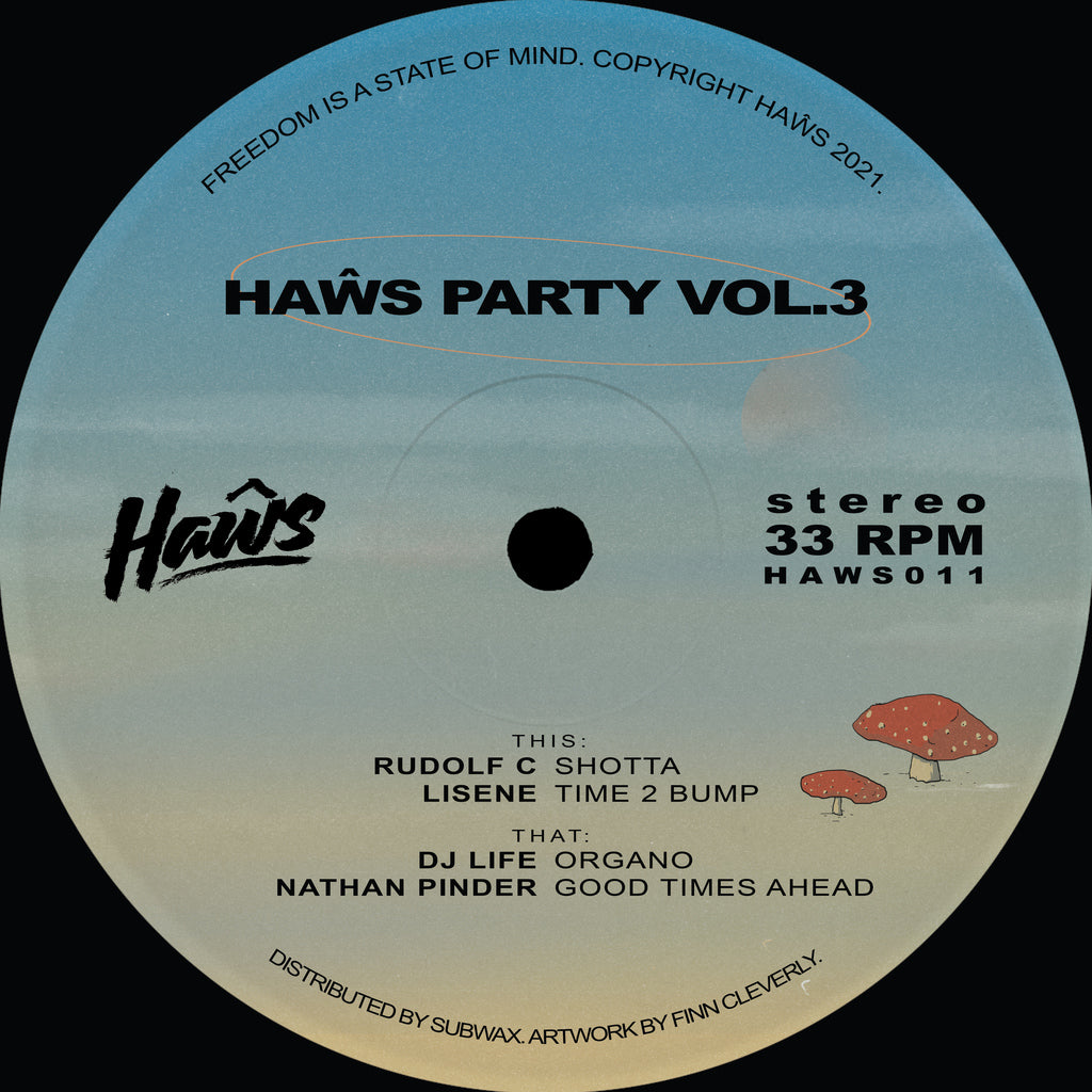 Various Artists - Haŵs Party Vol. 3 - Haŵs